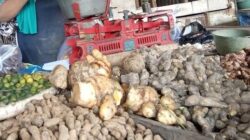 Harga Kencur Melonjak Usai Lebaran di Pasar Untung, Sentuh Rp150 Ribu per Kilogram