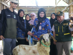 Disnakeswan Lampung Pastikan Hewan Kurban Sehat dan Layak Jelang Idul Adha 1447 H