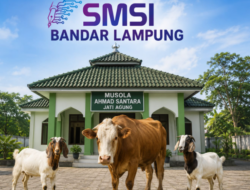 SMSI Bandar Lampung Siapkan Distribusi Daging Kurban untuk Anggota dan Warga